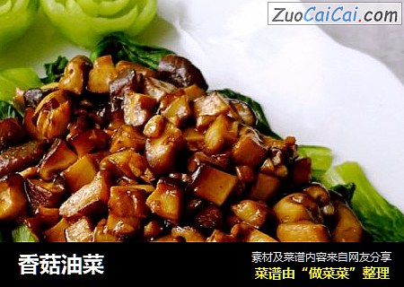 香菇油菜