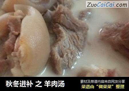 秋冬进补 之 羊肉汤