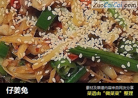 仔姜兔