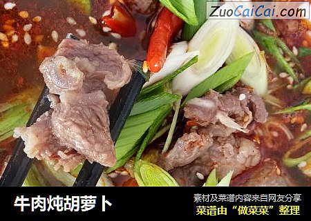 牛肉炖胡萝卜
