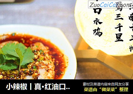 小辣椒丨真·红油口水鸡