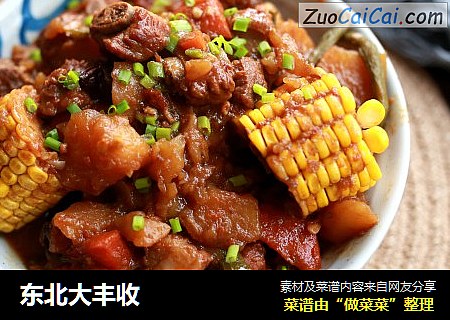 东北大丰收