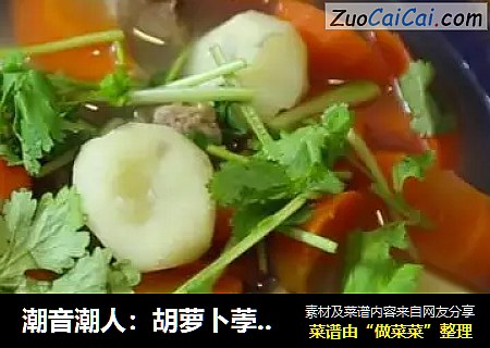 潮音潮人：胡萝卜荸荠猪骨汤