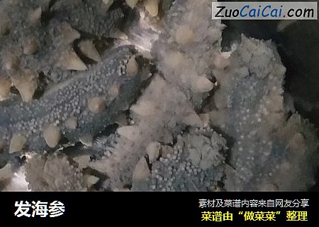 发海参