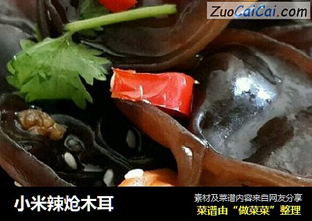 小米辣炝木耳