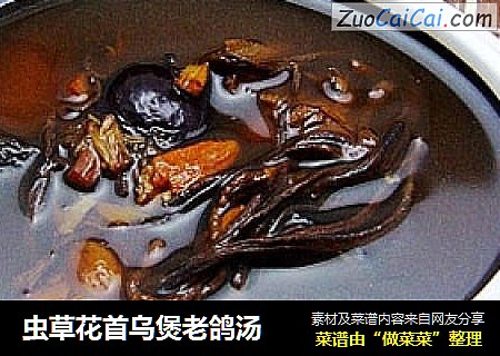 虫草花首乌煲老鸽汤