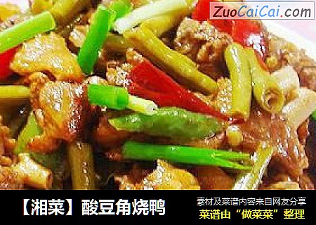 【湘菜】酸豆角烧鸭