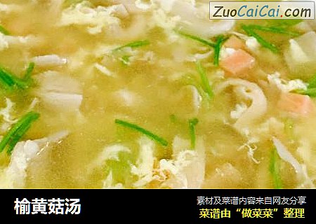 榆黄菇汤