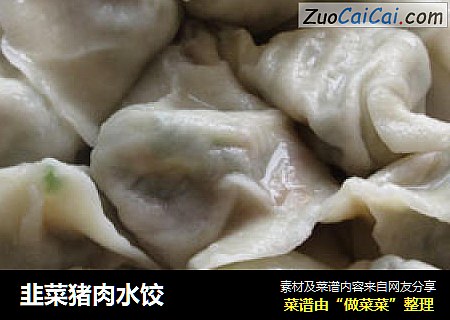 韭菜猪肉水饺