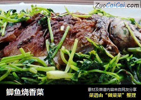 鲫鱼烧香菜
