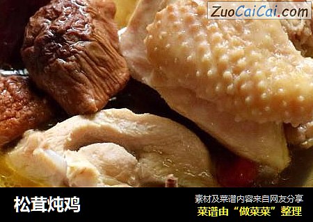 松茸炖鸡