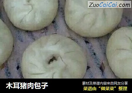 木耳猪肉包子