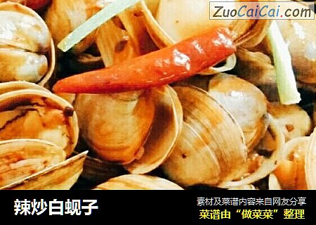 辣炒白蚬子