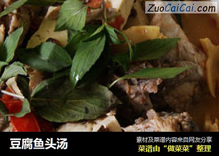 豆腐鱼头汤