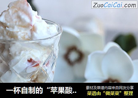 一杯自制的“苹果酸奶冰淇淋”简单易学只要动动手~