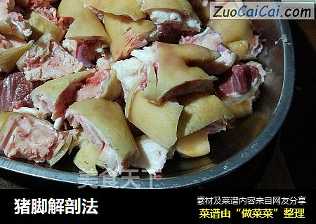猪脚解剖法