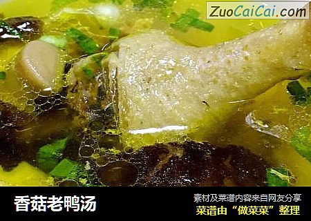 香菇老鸭汤