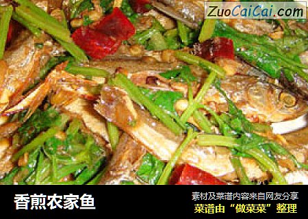 香煎农家鱼