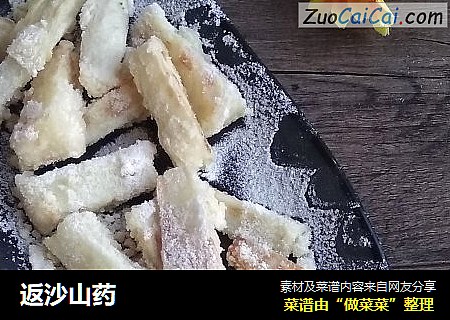 返沙山药