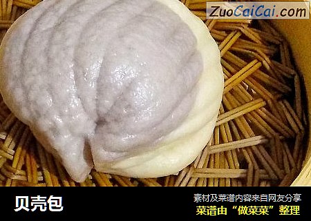 贝壳包