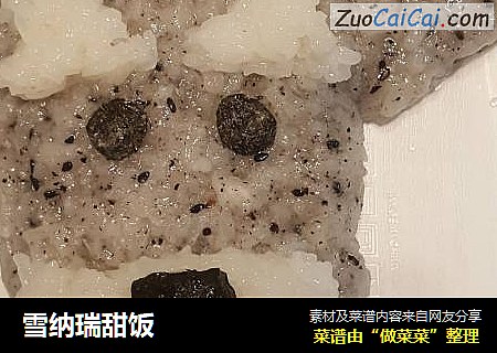 雪纳瑞甜饭