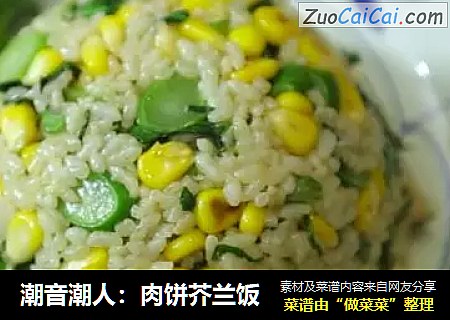 潮音潮人：肉饼芥兰饭