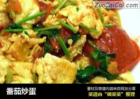 番茄炒蛋