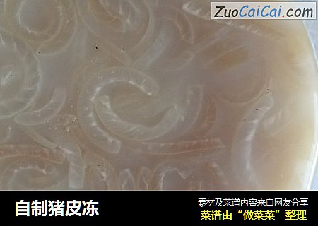 自制猪皮冻