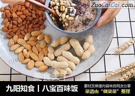 九阳知食丨八宝百味饭