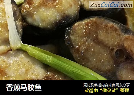香煎马胶鱼