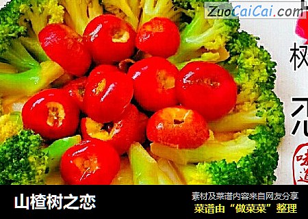 山楂树之恋