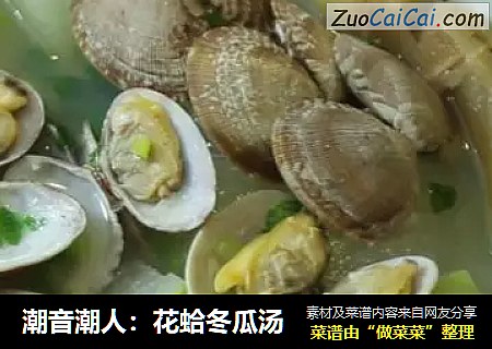 潮音潮人：花蛤冬瓜汤