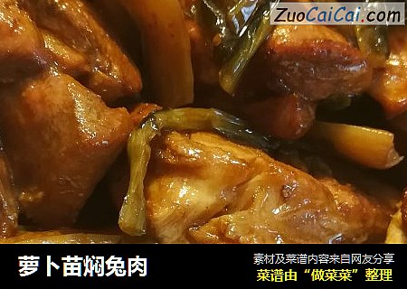 萝卜苗焖兔肉