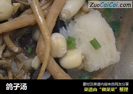 鸽子汤