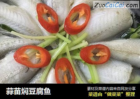 蒜苗焖豆腐鱼