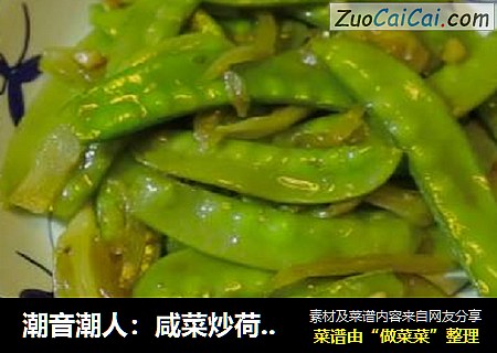 潮音潮人：咸菜炒荷兰豆