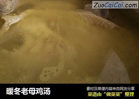 暖冬老母鸡汤