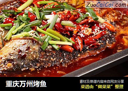 重庆万州烤鱼