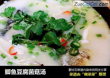 鲫鱼豆腐菌菇汤