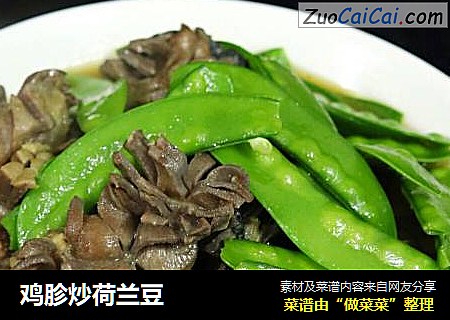 鸡胗炒荷兰豆