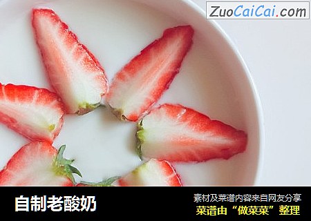 自制老酸奶