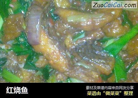 红烧鱼