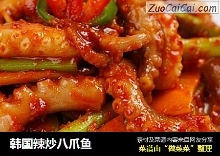 韩国辣炒八爪鱼