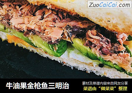 牛油果金枪鱼三明治