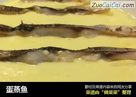 蛋蒸鱼