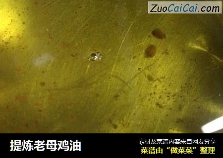 提炼老母鸡油