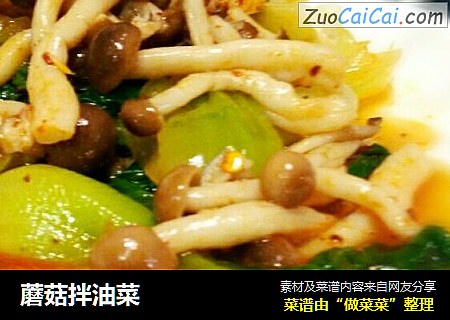 蘑菇拌油菜