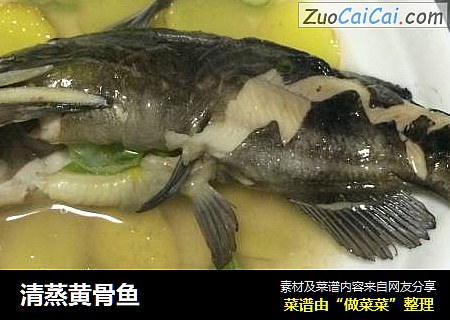 清蒸黄骨鱼