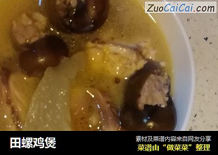 田螺鸡煲