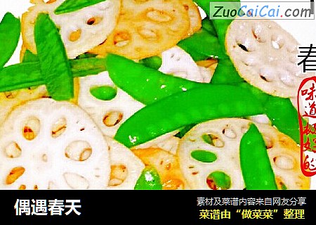 偶遇春天